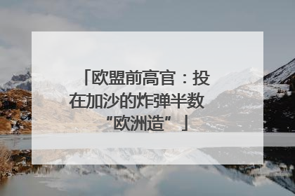 欧盟前高官：投在加沙的炸弹半数“欧洲造”