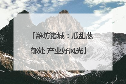 潍坊诸城：瓜甜葱郁处 产业好风光