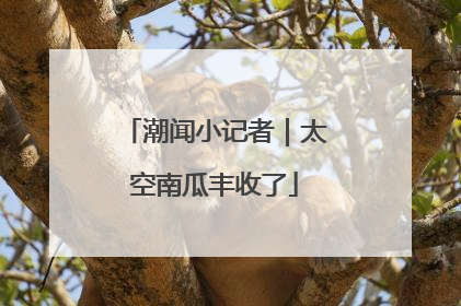 潮闻小记者｜太空南瓜丰收了