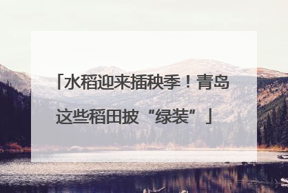 水稻迎来插秧季！青岛这些稻田披“绿装”