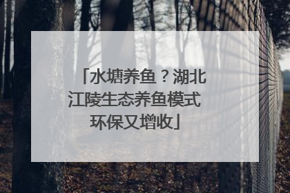 水塘养鱼？湖北江陵生态养鱼模式环保又增收