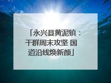永兴县黄泥镇：干群周末攻坚 国道沿线焕新颜