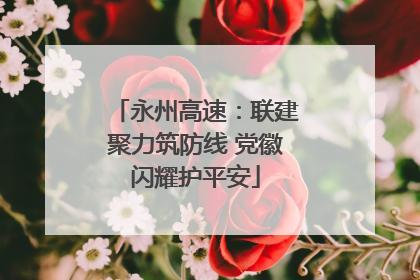 永州高速：联建聚力筑防线 党徽闪耀护平安