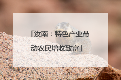 汝南：特色产业带动农民增收致富