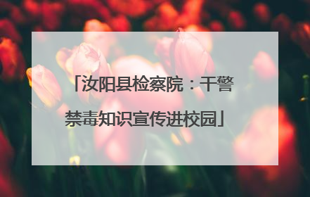 汝阳县检察院：干警禁毒知识宣传进校园
