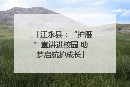 江永县：“护雁”宣讲进校园 助梦启航护成长