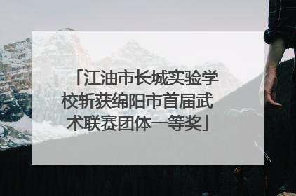 江油市长城实验学校斩获绵阳市首届武术联赛团体一等奖