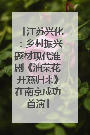 江苏兴化：乡村振兴题材现代淮剧《油菜花开燕归来》在南京成功首演