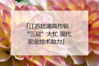 江苏建湖高作镇：“三夏”大忙 现代农业技术助力