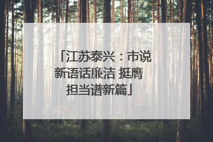 江苏泰兴：市说新语话廉洁 挺膺担当谱新篇