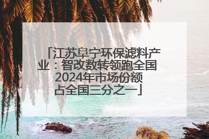 江苏阜宁环保滤料产业：智改数转领跑全国 2024年市场份额占全国三分之一
