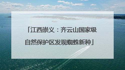 江西崇义：齐云山国家级自然保护区发现蜘蛛新种
