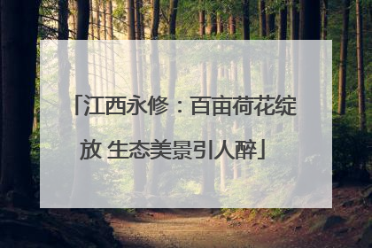 江西永修：百亩荷花绽放 生态美景引人醉