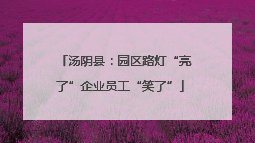 汤阴县：园区路灯“亮了”企业员工“笑了”