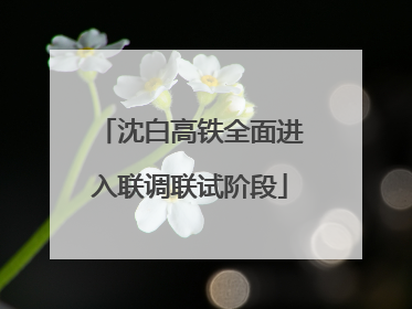 沈白高铁全面进入联调联试阶段