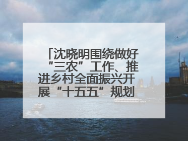 沈晓明围绕做好“三农”工作、推进乡村全面振兴开展“十五五”规划专题调研