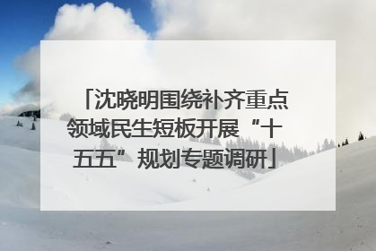 沈晓明围绕补齐重点领域民生短板开展“十五五”规划专题调研