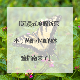 沉浸式度假新范本，黄阳小镇的体验指南来了
