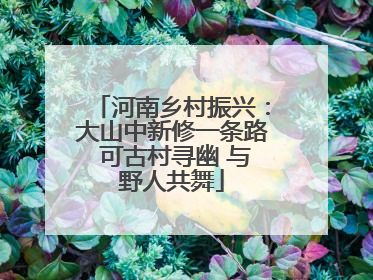 河南乡村振兴：大山中新修一条路 可古村寻幽 与野人共舞
