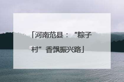 河南范县：“粽子村”香飘振兴路