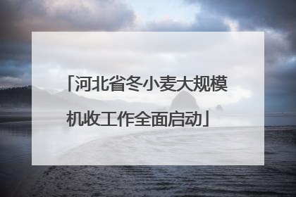 河北省冬小麦大规模机收工作全面启动