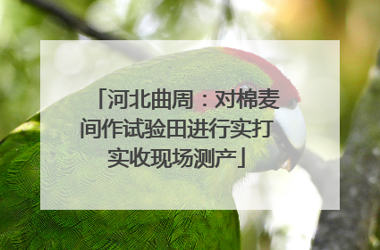 河北曲周：对棉麦间作试验田进行实打实收现场测产