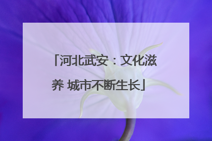 河北武安：文化滋养 城市不断生长