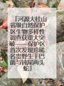 河源大桂山省级自然保护区生物多样性调查获重大突破——保护区首次发现珍稀名贵野生干巴菌与钝尾两头蛇
