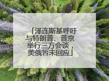 泽连斯基呼吁与特朗普、普京举行三方会谈，美俄暂未回应