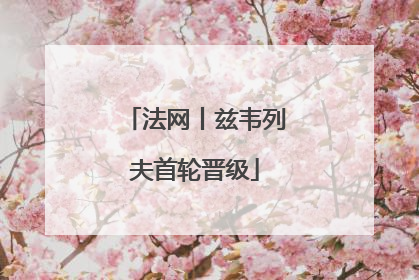 法网丨兹韦列夫首轮晋级