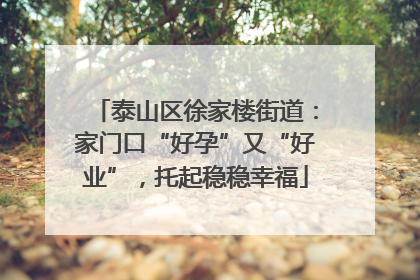 泰山区徐家楼街道：家门口“好孕”又“好业”，托起稳稳幸福