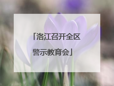 洛江召开全区警示教育会