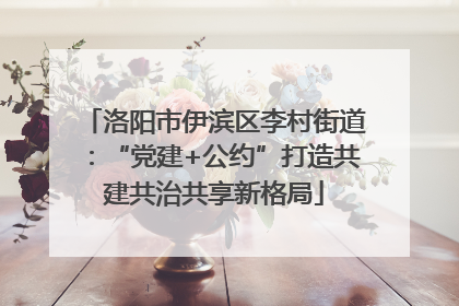 洛阳市伊滨区李村街道：“党建+公约”打造共建共治共享新格局