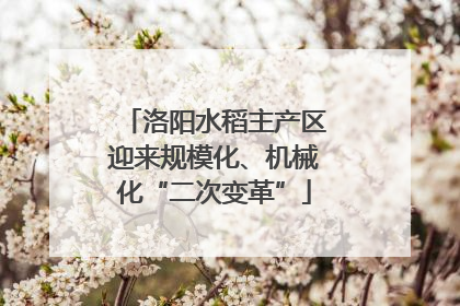 洛阳水稻主产区迎来规模化、机械化“二次变革”