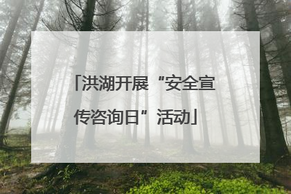 洪湖开展“安全宣传咨询日”活动