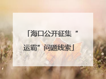 海口公开征集“运霸”问题线索