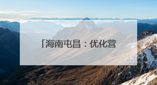 海南屯昌：优化营商环境 促进一二三产业融合发展