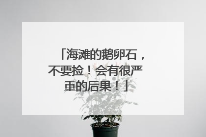海滩的鹅卵石，不要捡！会有很严重的后果！