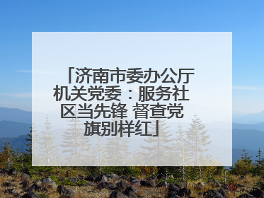 济南市委办公厅机关党委：服务社区当先锋 督查党旗别样红