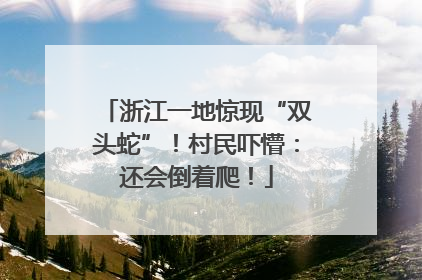 浙江一地惊现“双头蛇”！村民吓懵：还会倒着爬！