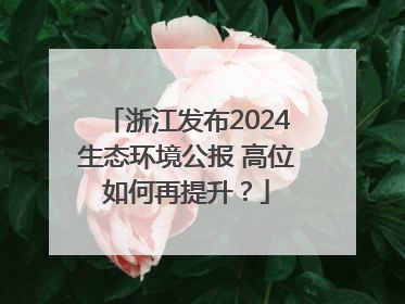浙江发布2024生态环境公报 高位如何再提升？