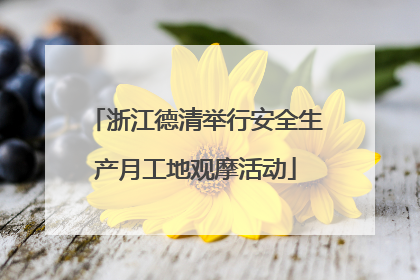 浙江德清举行安全生产月工地观摩活动