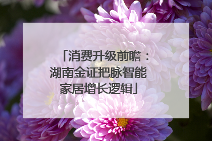 消费升级前瞻：湖南金证把脉智能家居增长逻辑