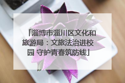 淄博市淄川区文化和旅游局：文旅法治进校园 守护青春筑防线