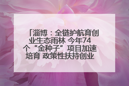 淄博：全链护航育创业生态雨林 今年74个“金种子”项目加速培育 政策性扶持创业9754人