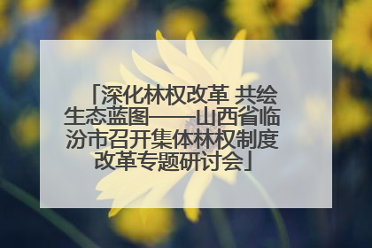 深化林权改革 共绘生态蓝图——山西省临汾市召开集体林权制度改革专题研讨会