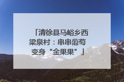 清徐县马峪乡西梁泉村：串串葡萄变身“金果果”