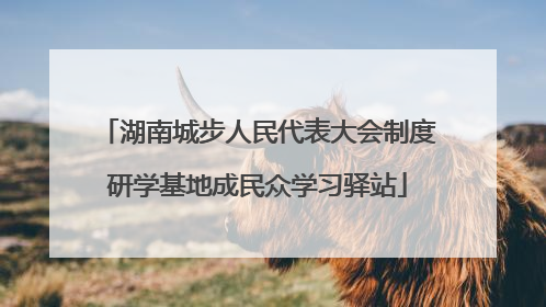 湖南城步人民代表大会制度研学基地成民众学习驿站
