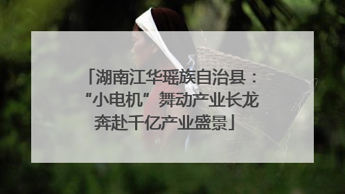 湖南江华瑶族自治县：“小电机”舞动产业长龙 奔赴千亿产业盛景