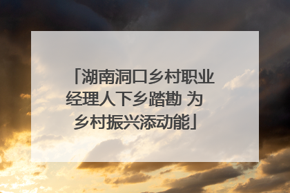 湖南洞口乡村职业经理人下乡踏勘 为乡村振兴添动能